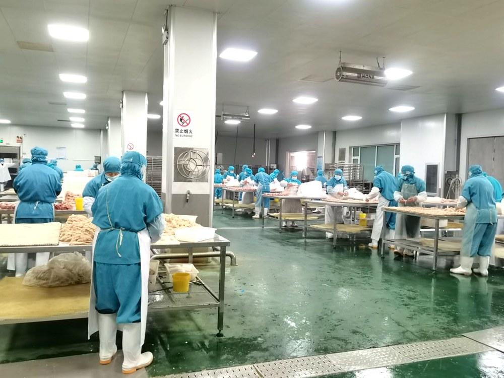 PawTaste factory photo 5